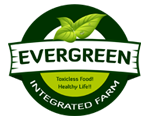 my-evergreen-farms